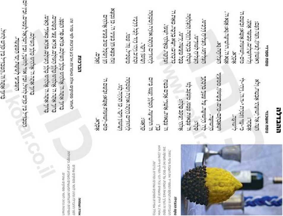 (בספר תמונה של חפצים להבדלה)